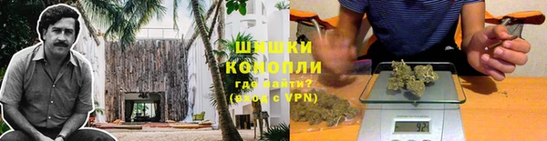 спиды Нефтекумск