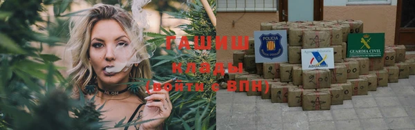 индика Абинск