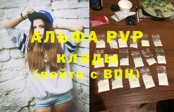 индика Абинск