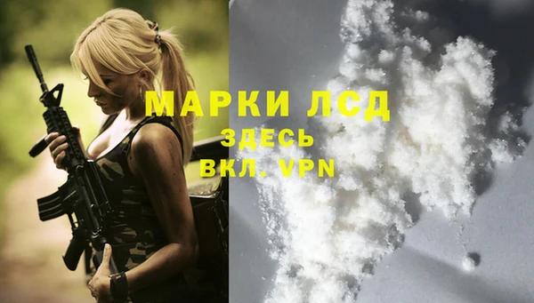 индика Абинск