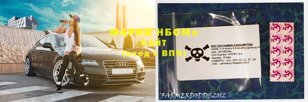 спиды Нефтекумск